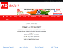 Tablet Screenshot of nsstudent.com